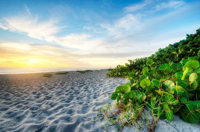 Beautiful Gulf Coast Beaches