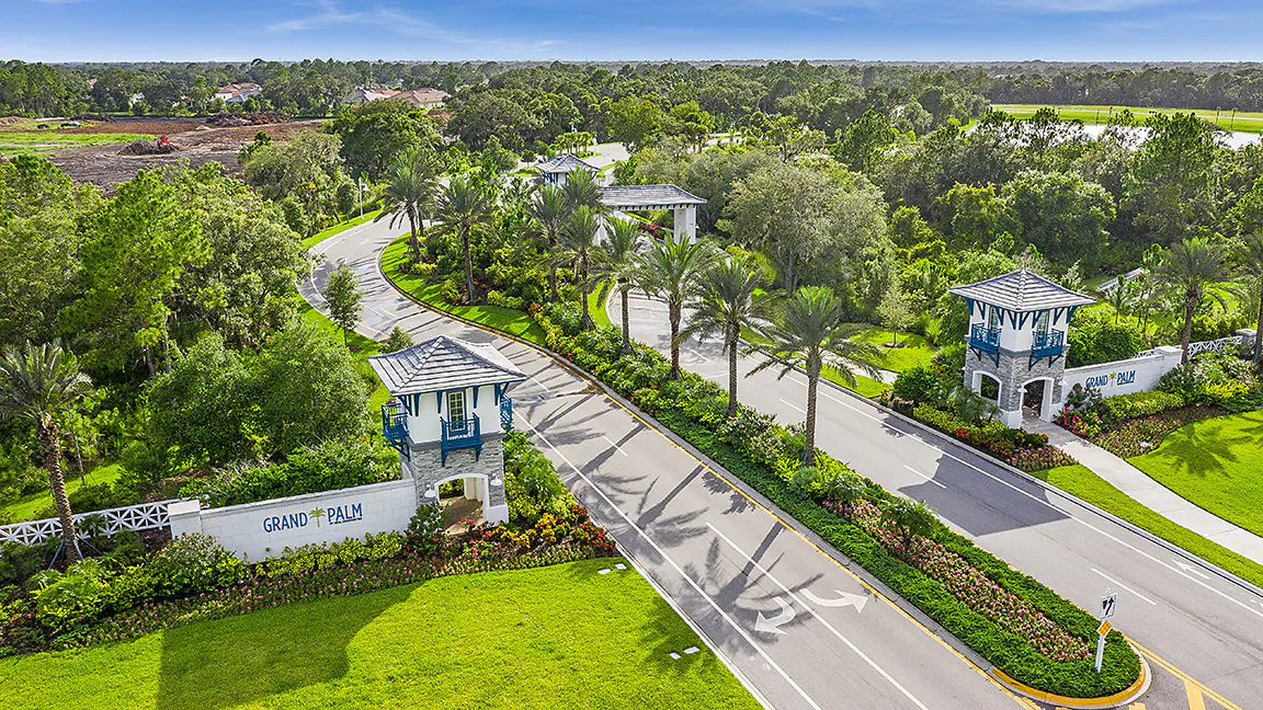 Grand Palm