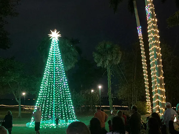christmas tree at Ford and Edison Estate