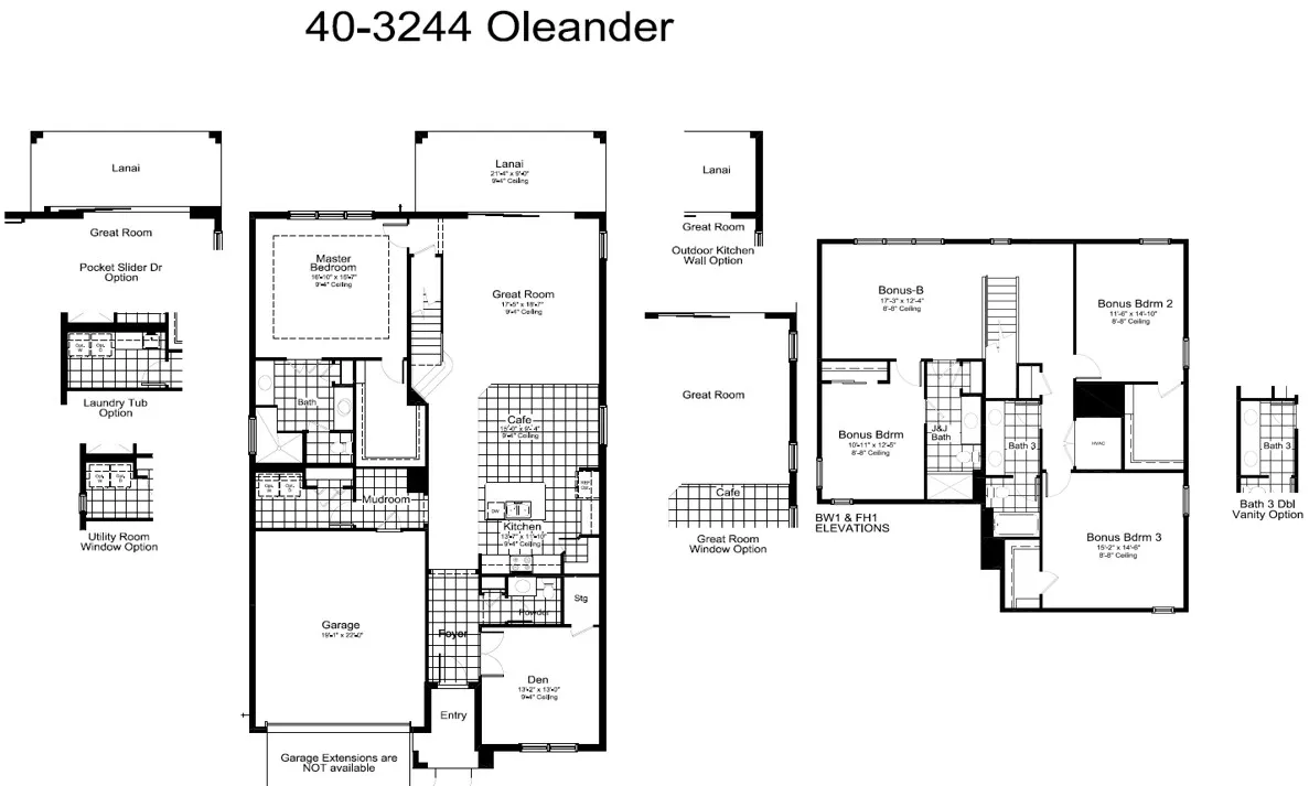 Oleander