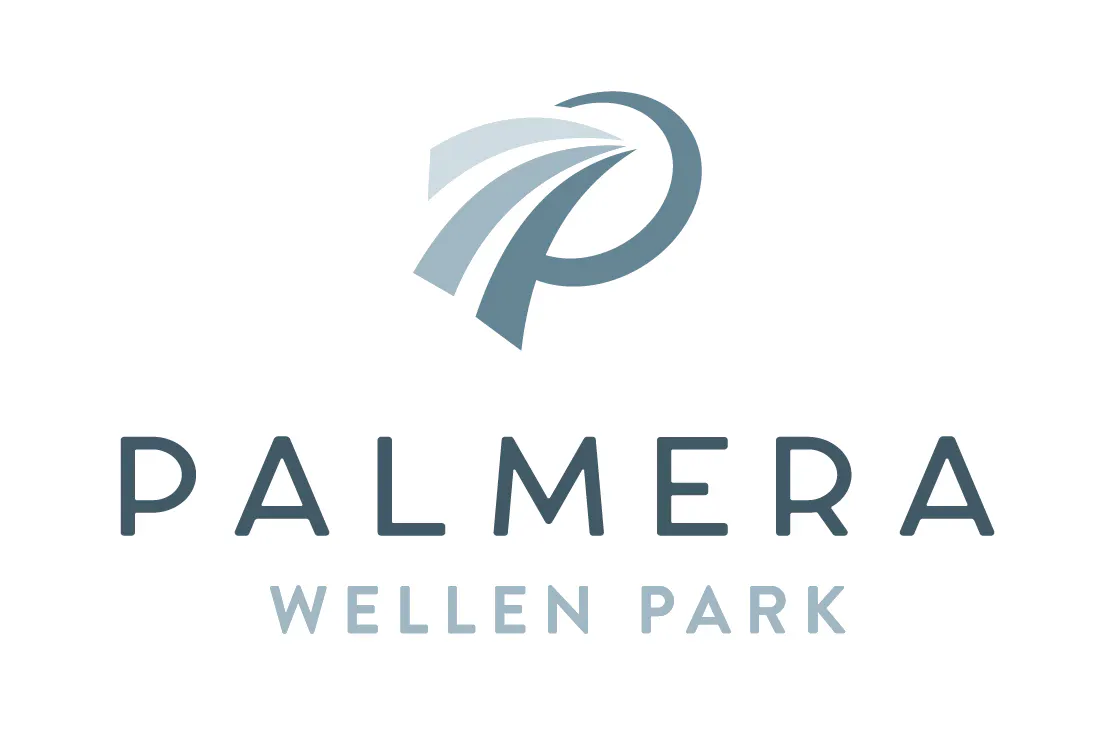 Palmera