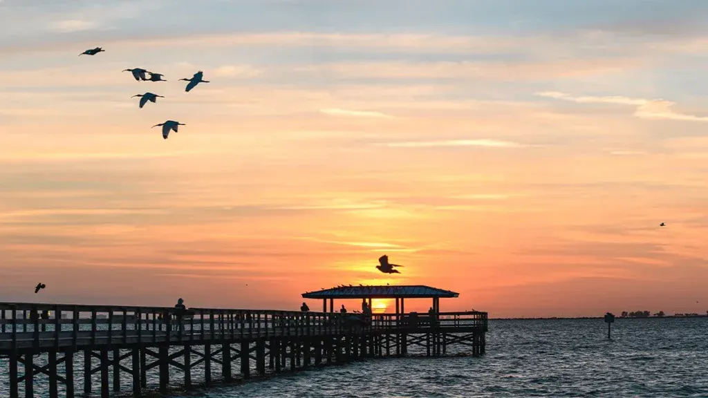 Sarasota Attractions