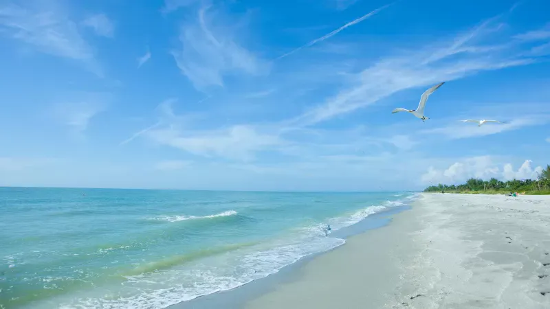 Fort Myers Beaches