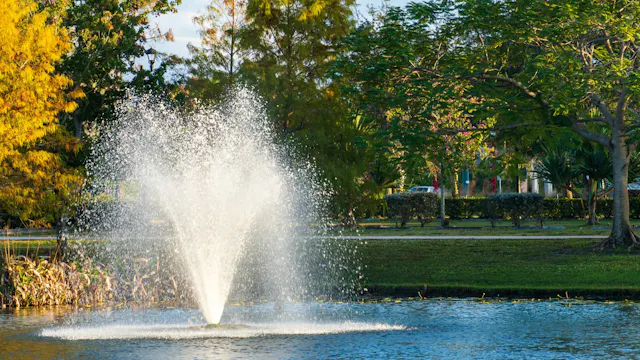 Pond