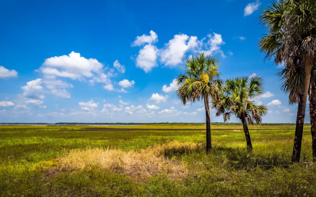 Myakka River State Park
