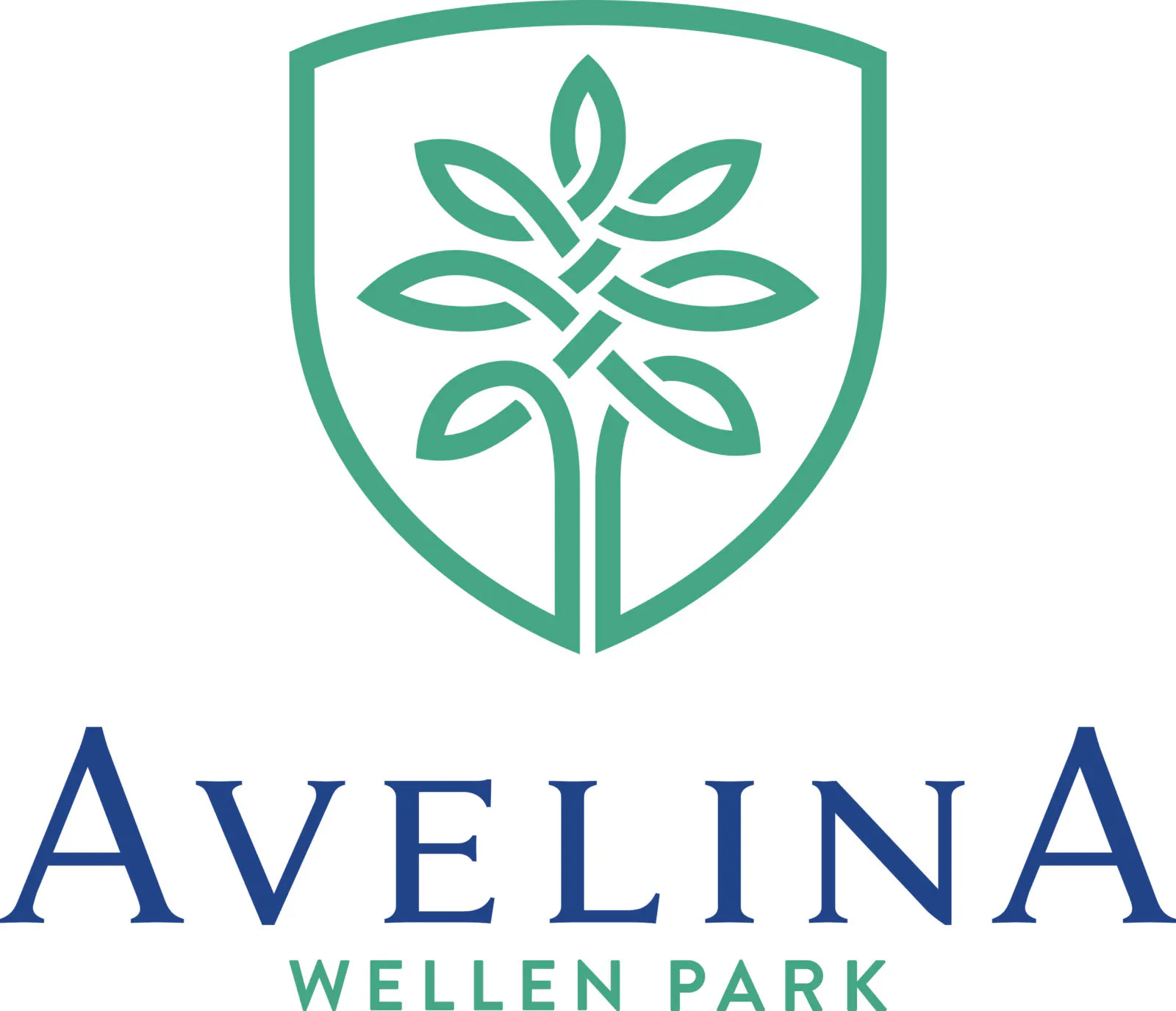 Avelina