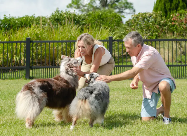Dog Parks