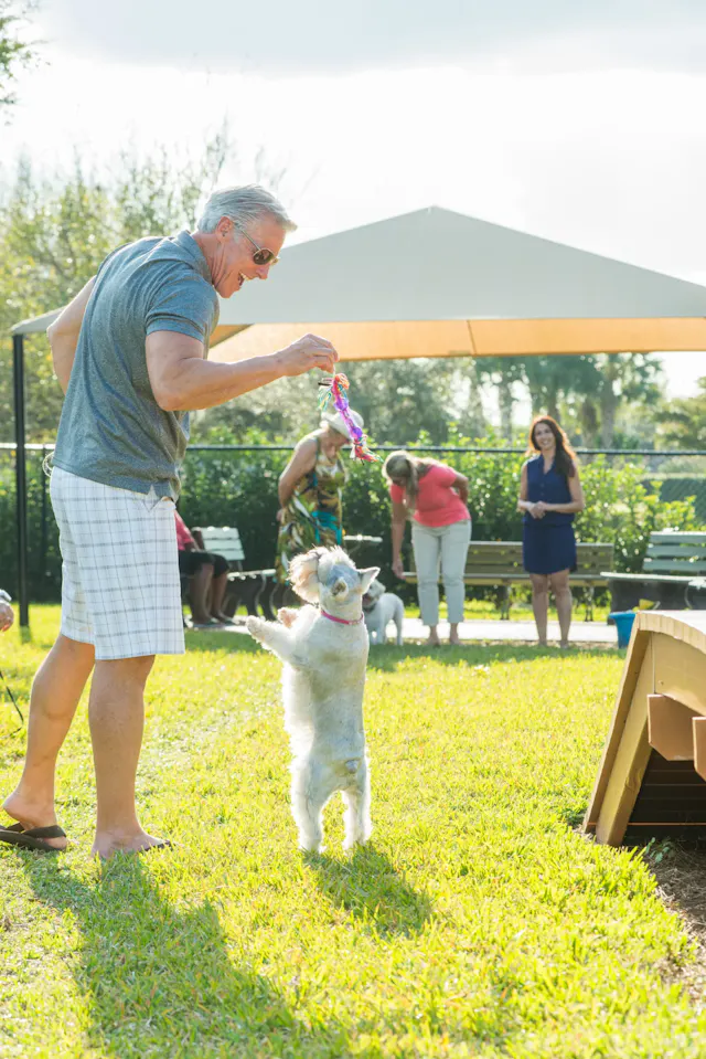 Dog Parks