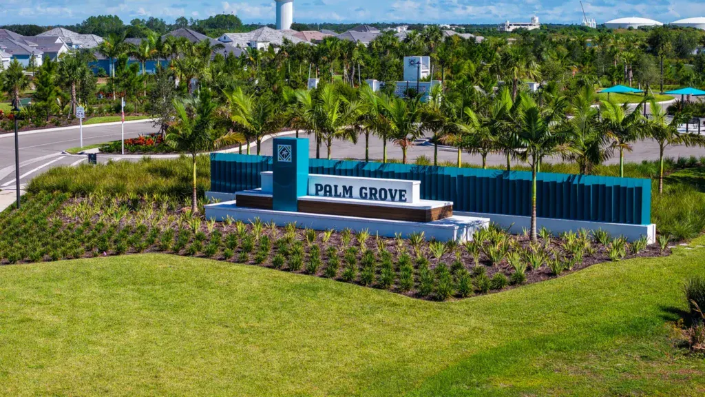 Palm Grove