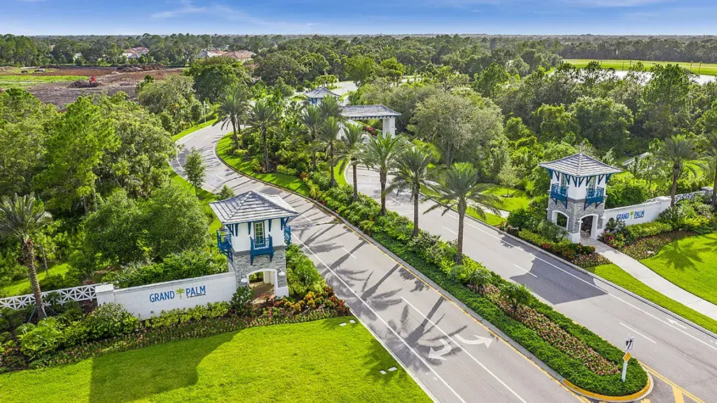 Grand Palm